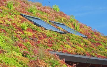 Cubley living roof systems